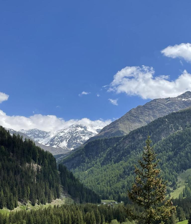 Residence Regina Delle Alpi サンタ・カテリーナ・ヴァルフルヴァ エクステリア 写真